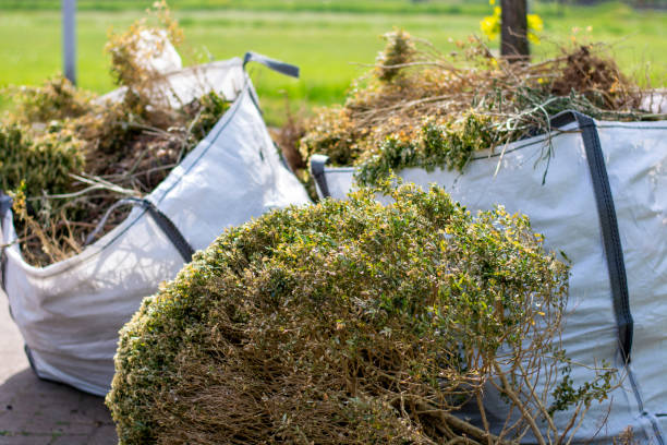 Best Local Junk Hauling  in Long Beach, NY